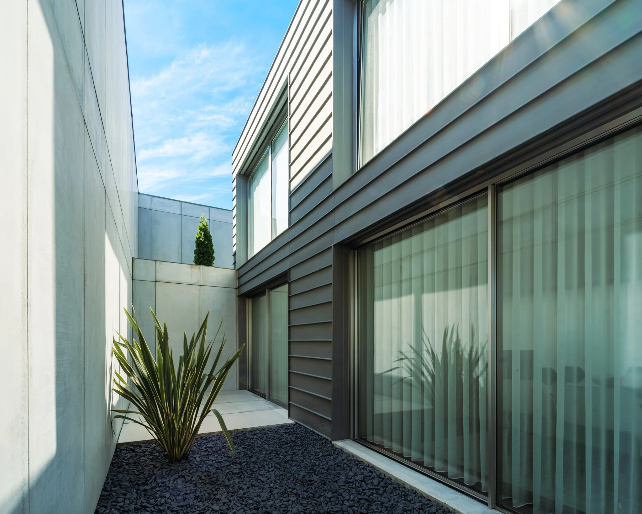 Brutus House: pátio lateral com vegetação e fachada em zinco