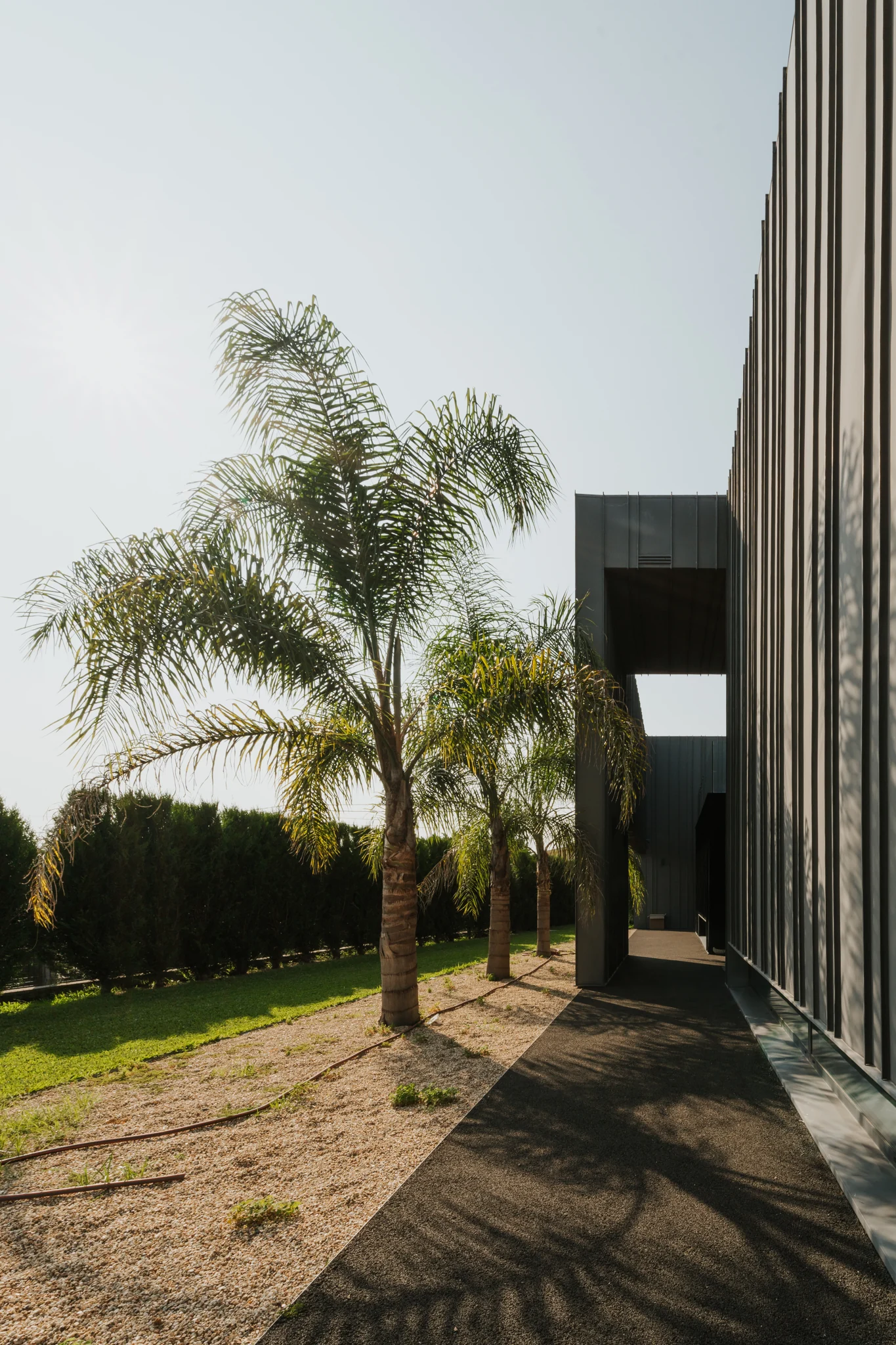 ZN12 House: fachada lateral e espaços exteriores de circulação